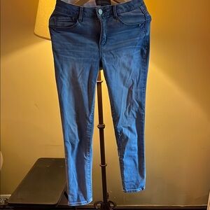 Democracy Blue Skinny Jeans Classic Fit